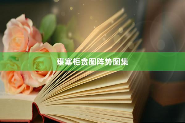 壅塞柜贪图阵势图集